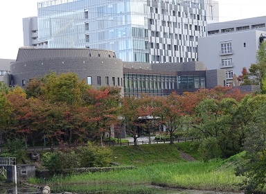 会場遠景